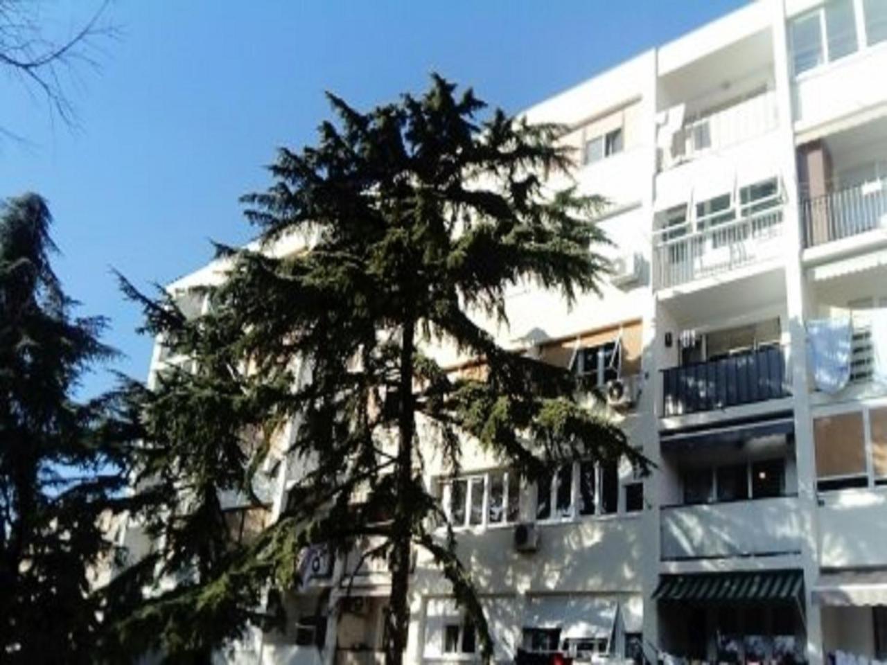 Apartment Calluna Сплит Екстериор снимка